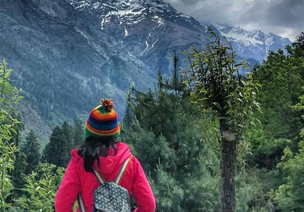 Kasol Taxi