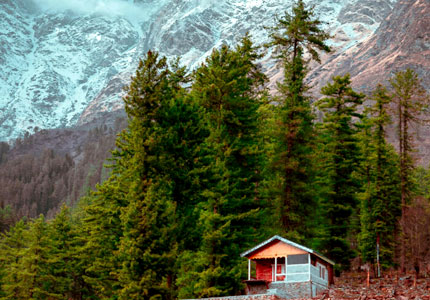 Kasol Taxi