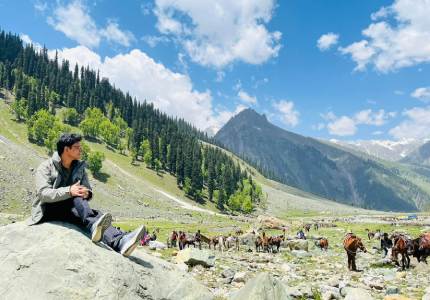 Scenic Jammu to Srinagar & Valley Road Trip