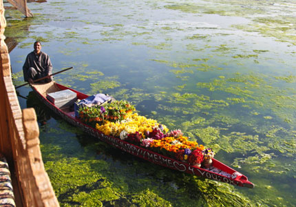 Srinagar Taxi
