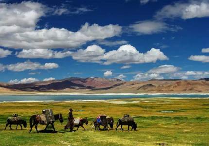 Ladakh Mountains & Valley Explorer – 9 Days