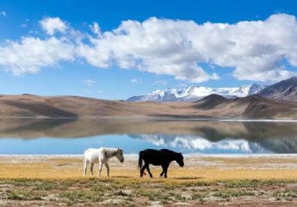 Scenic Ladakh Discovery Trip – Leh Base
